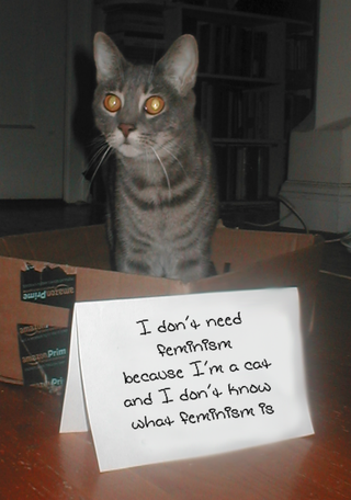 Illustration for article titled Confused Cats on Tumblr Don't Need Feminism Because They Are Cats